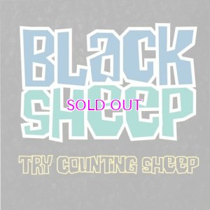 画像1: BLACK SHEEP /TRY COUNTING SHEEP 7"