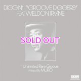 Weldon Irvine “DIGGIN'“GROOVE DIGGERS” feat. Weldon Irvine: Unlimited Rare Groove Mixed By MURO” CD